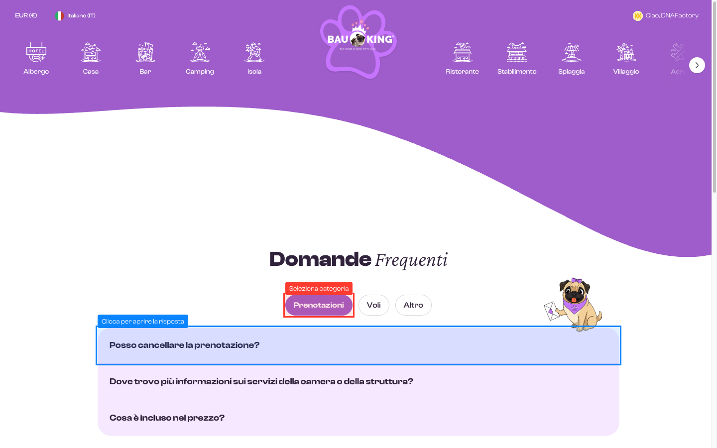 Pagina pubblica FAQ — 13"