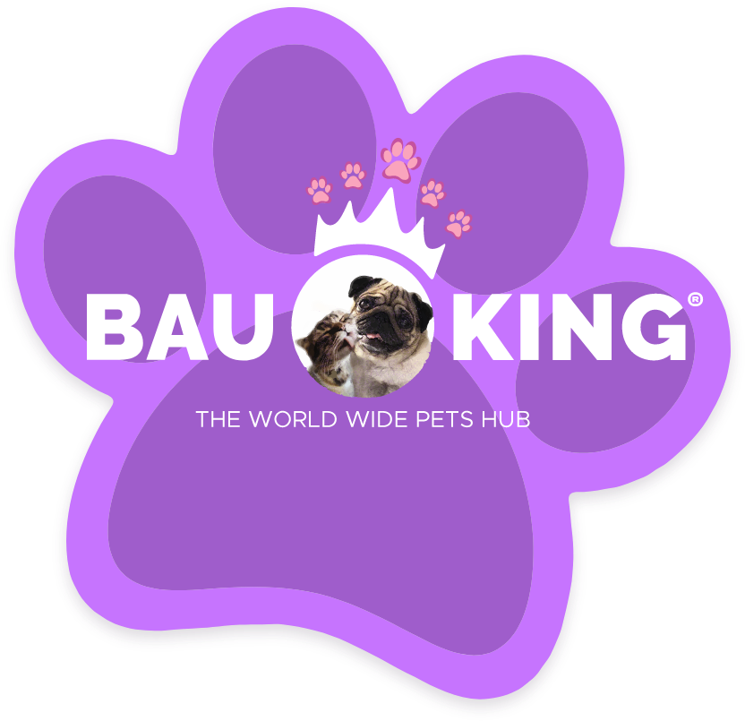 Bauking Logo